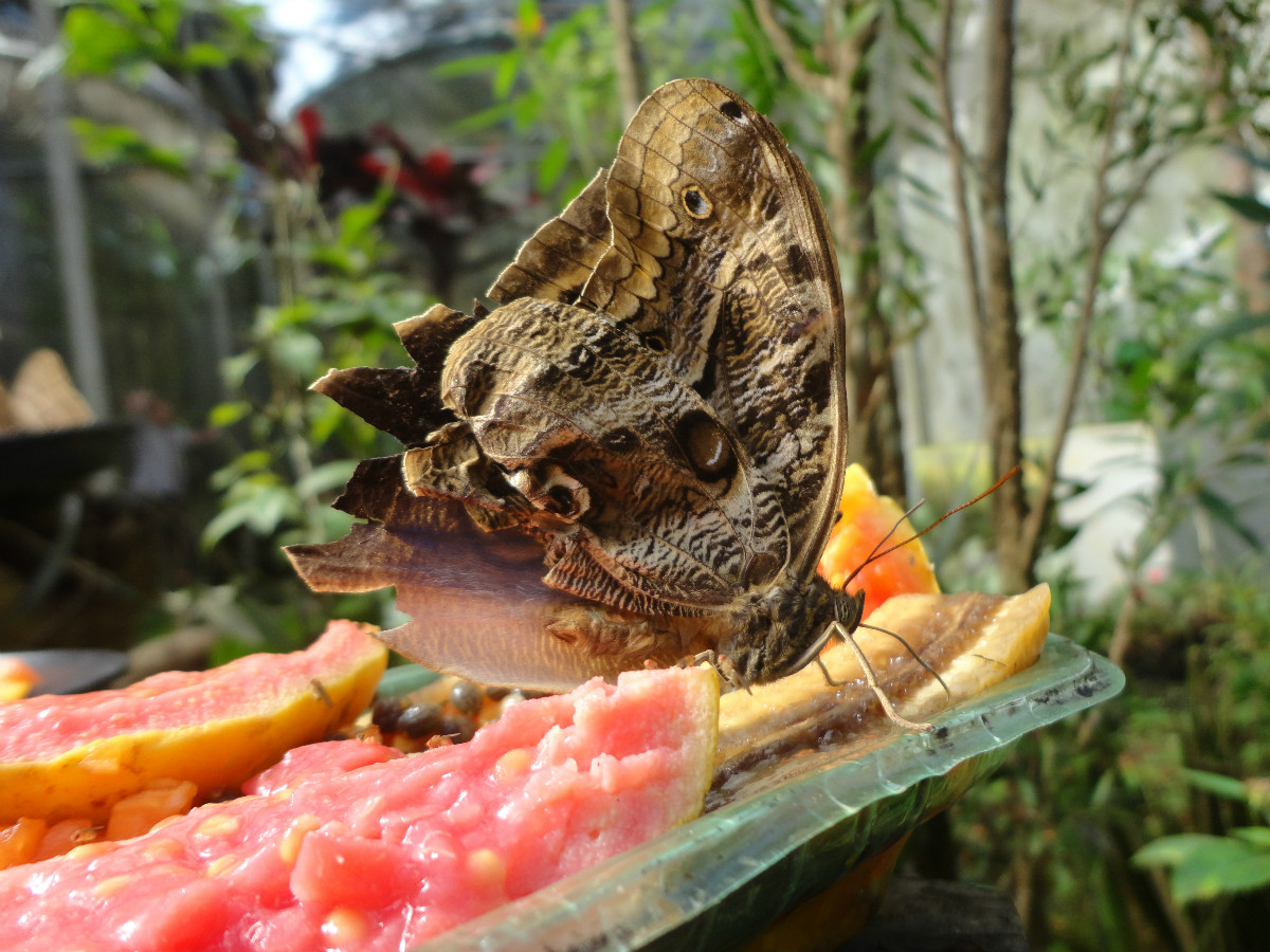 5 lugares para conhecer em Diadema