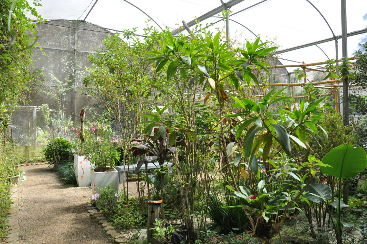 5 lugares para conhecer em Diadema