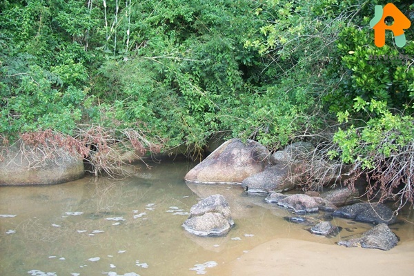 Descubra a História e a Beleza Natural da Ilha Anchieta em Ubatuba - SP