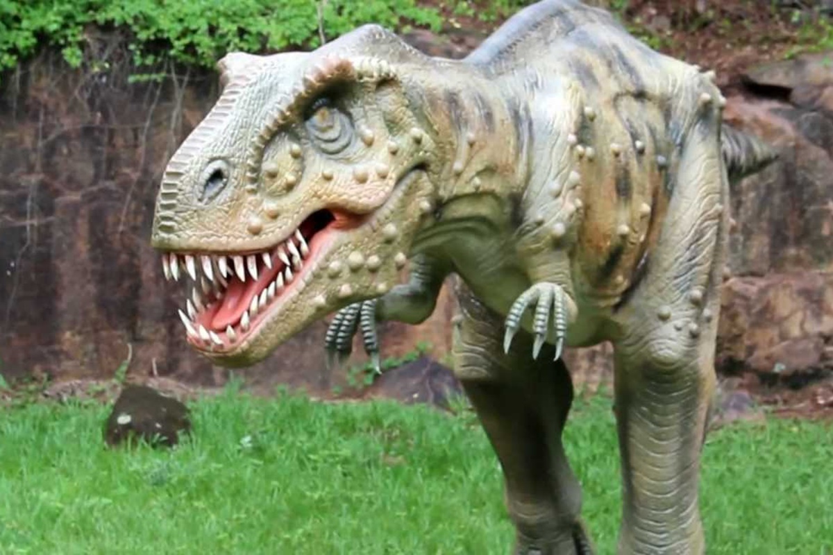 Explorando o Parque Rocha Moutonnée: Uma Viagem pela Era dos Dinossauros
