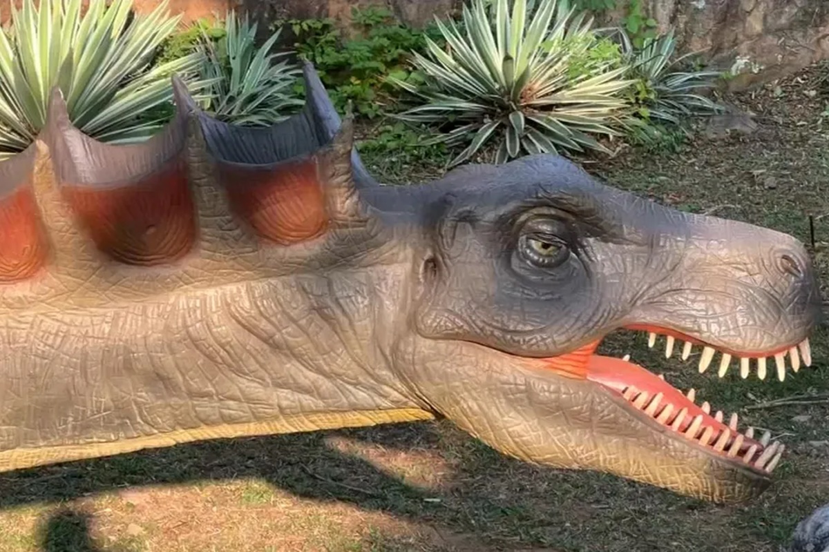 Explorando o Parque Rocha Moutonnée: Uma Viagem pela Era dos Dinossauros