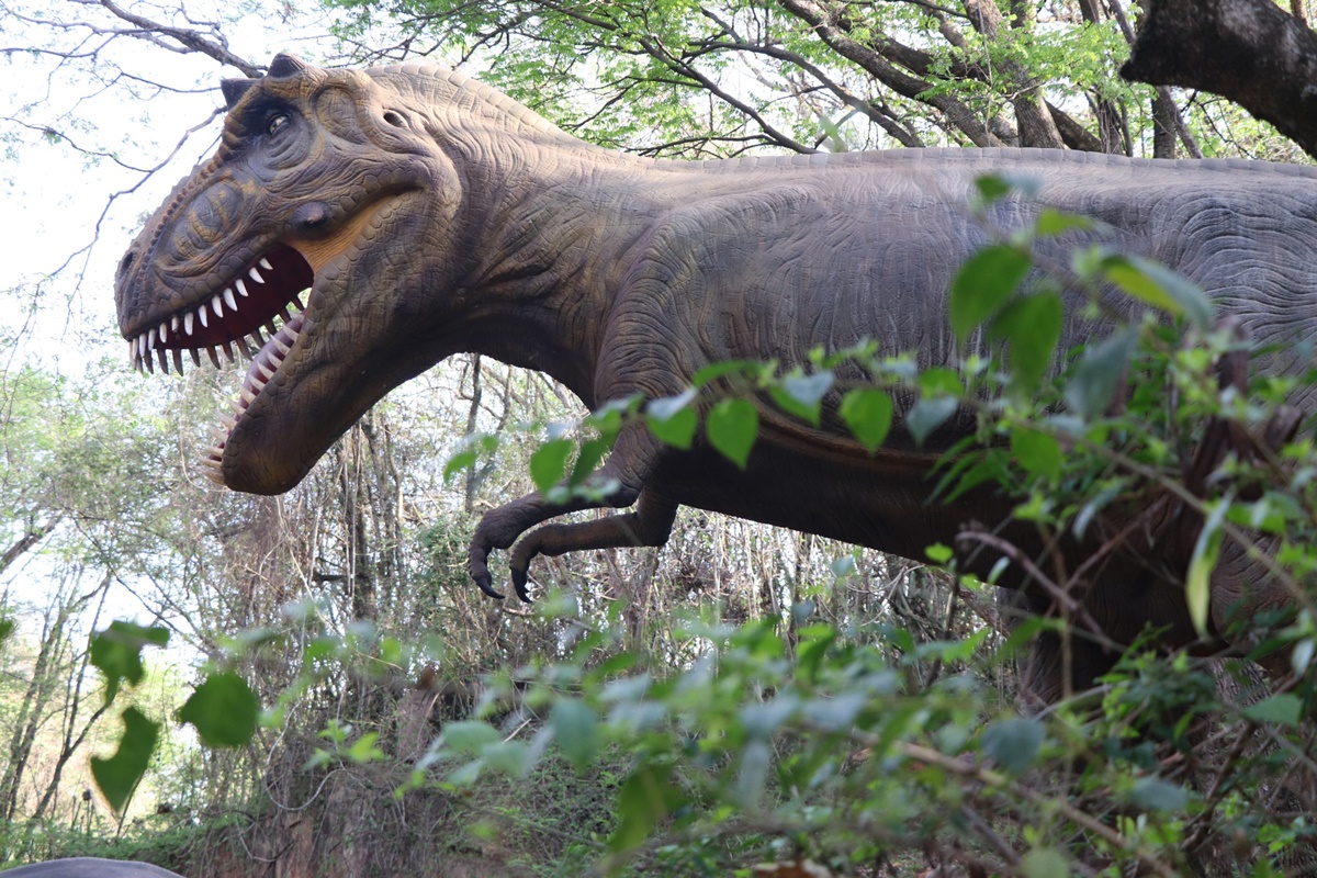 Explorando o Parque Rocha Moutonnée: Uma Viagem pela Era dos Dinossauros