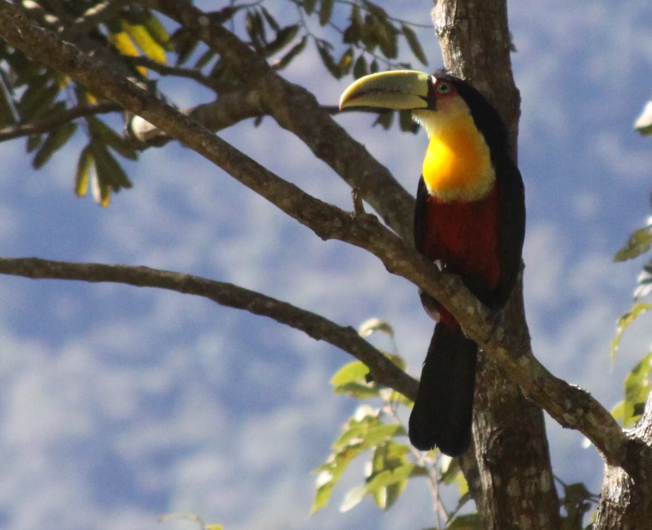 5 deliciosos restaurantes para conhecer em Guaratinguetá