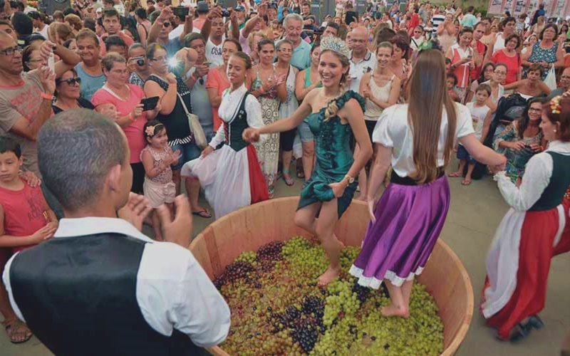Conheça a historia da Festa da Uva de Jundiaí!