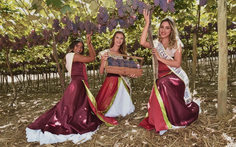 Conheça a historia da Festa da Uva de Jundiaí!