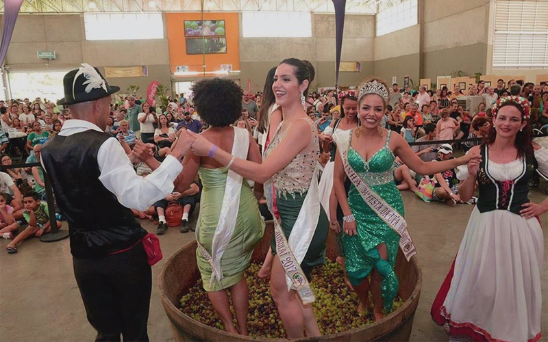 Conheça a historia da Festa da Uva de Jundiaí!