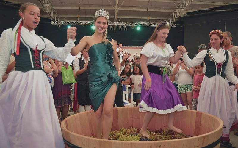 Conheça a historia da Festa da Uva de Jundiaí!