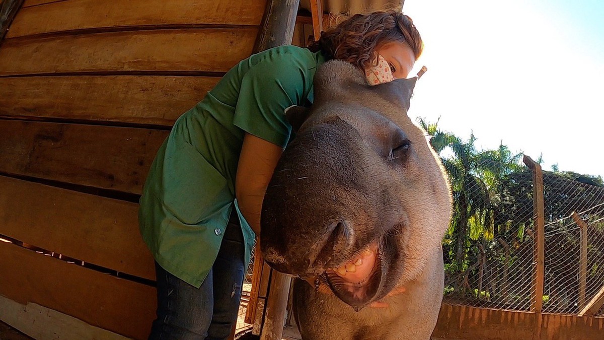 TOP 6 zoológicos para levar as crianças no interior de SP