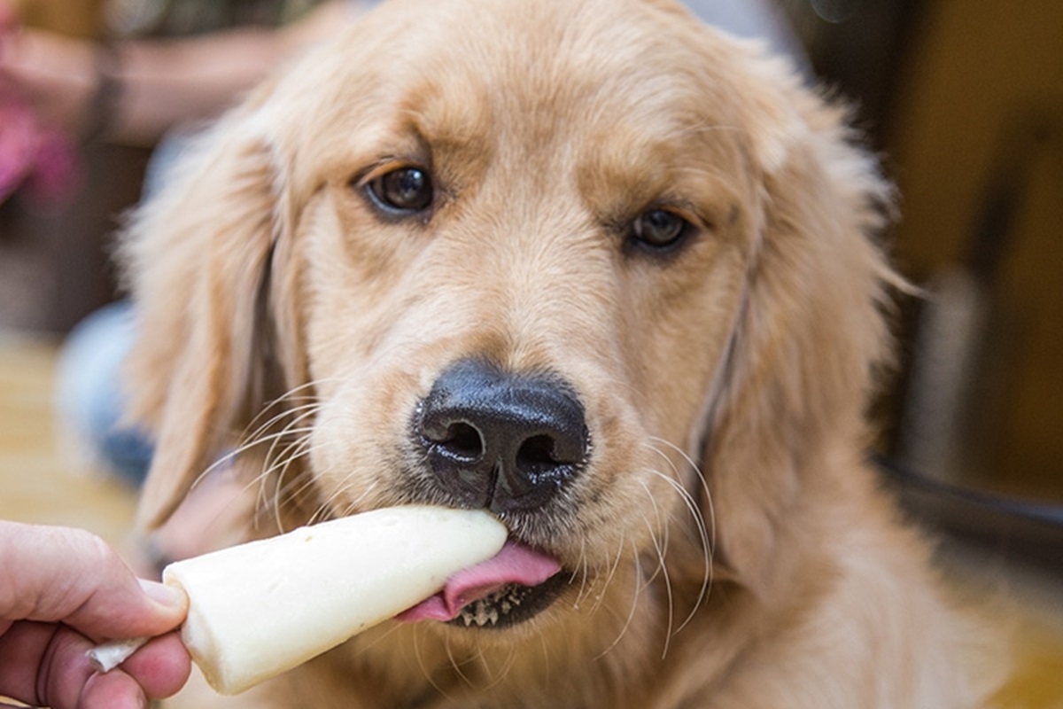 TOP 5 sorveterias para conhecer no interior de SP