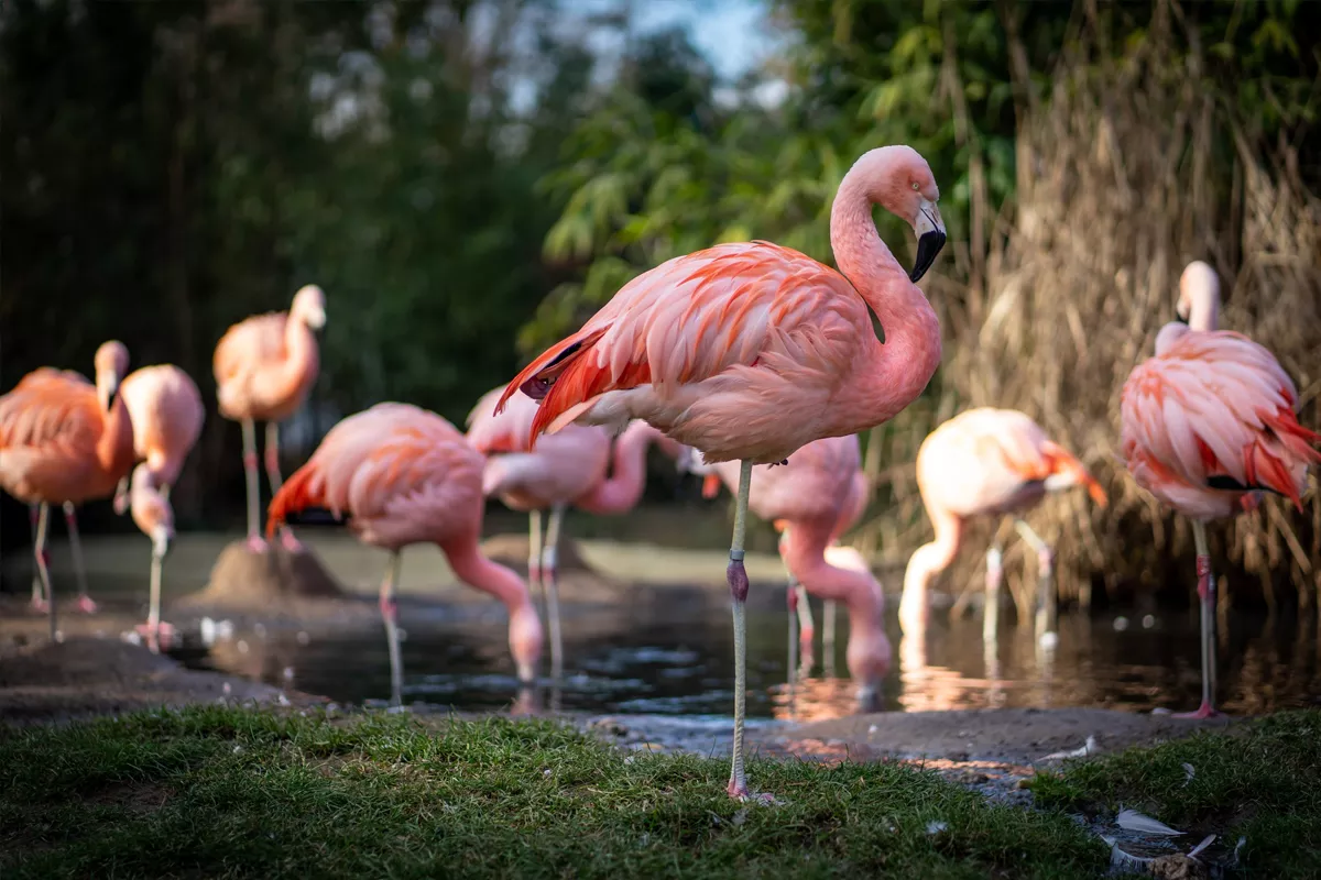 5 pontos turísticos para visitar em Americana