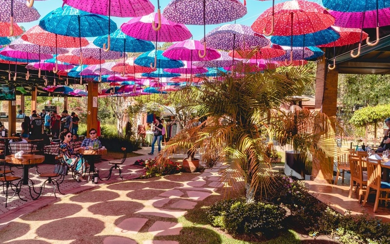 Descubra a capital do vinho paulista!