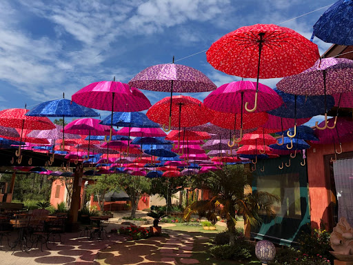 Descubra a capital do vinho paulista!