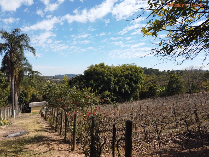 Conheça a Adega Martins em Jundiaí