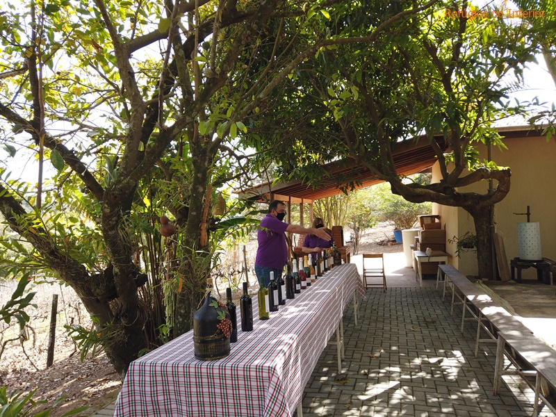 Conheça a Adega Martins em Jundiaí
