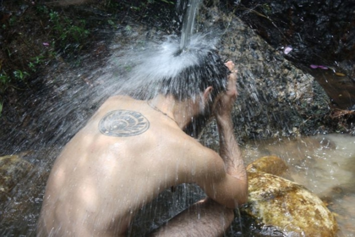Conheça o Instituto Terra Luminous, um refúgio natural impressionante
