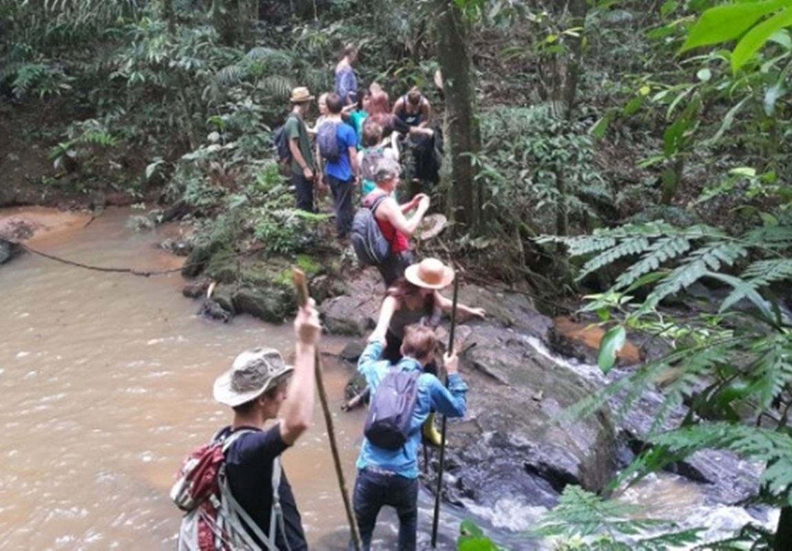 Conheça o Instituto Terra Luminous, um refúgio natural impressionante