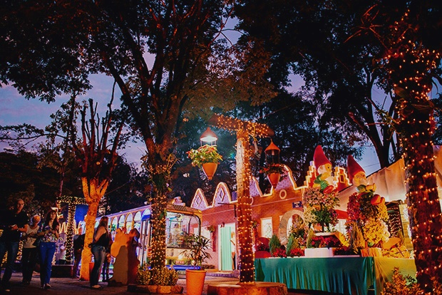 Flores e Papai Noel? Descubra o Natal Mágico de Holambra!