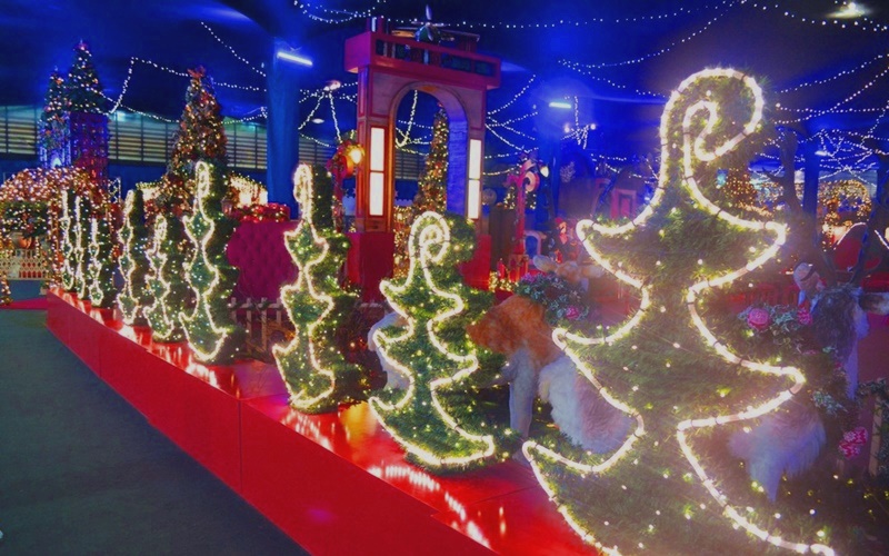 Flores e Papai Noel? Descubra o Natal Mágico de Holambra!