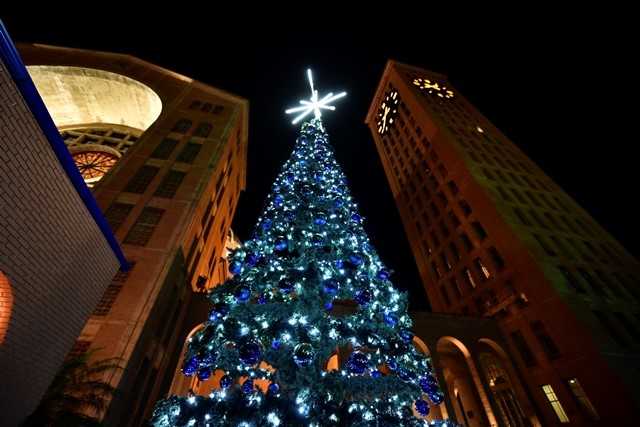 Primeiro Natal Iluminado chega em Aparecida!