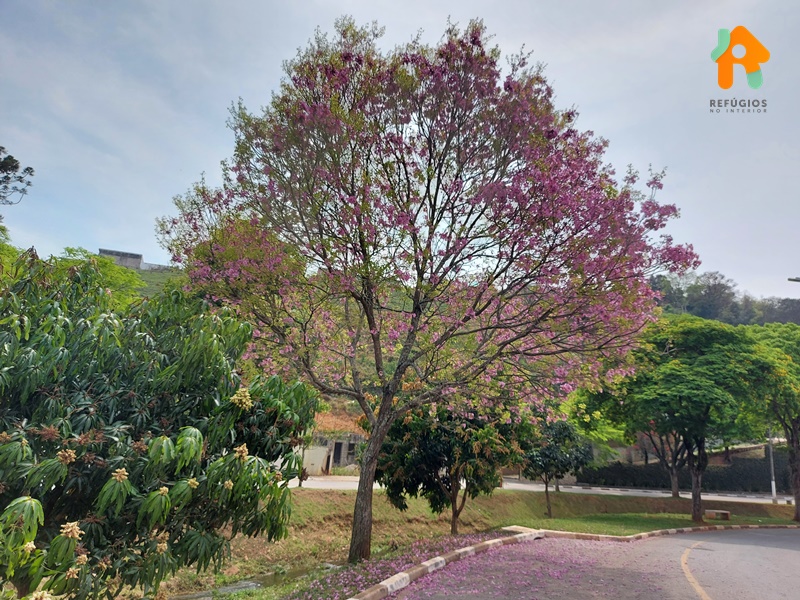 Confira Tudo Que Você Pode Fazer em Cabreúva