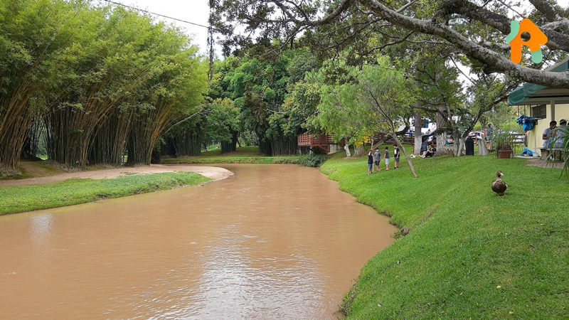 13 Melhores Restaurantes no Interior de SP