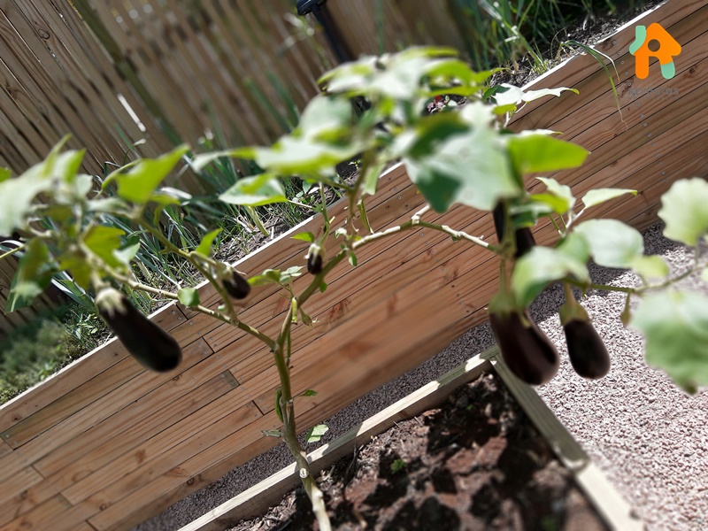 Turismo Rural no Interior de SP - 10 Cidades Próximas de SP Para Conhecer