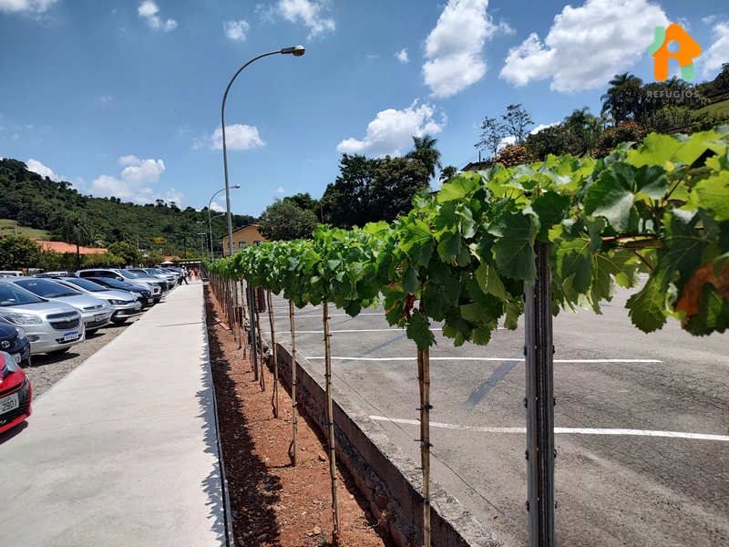 Parque Vinícola Góes em São Roque no Interior de SP