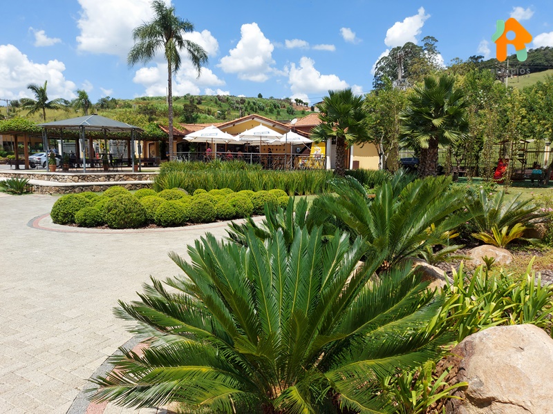 Parque Vinícola Góes em São Roque no Interior de SP
