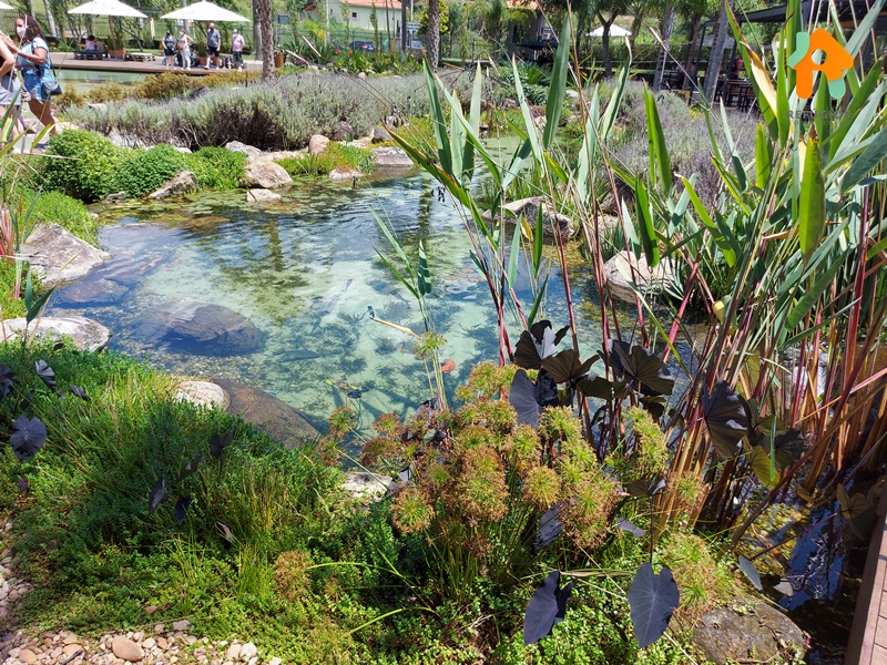 Parque Vinícola Góes em São Roque no Interior de SP