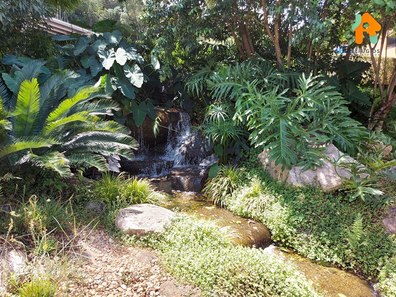 Parque Vinícola Góes em São Roque no Interior de SP