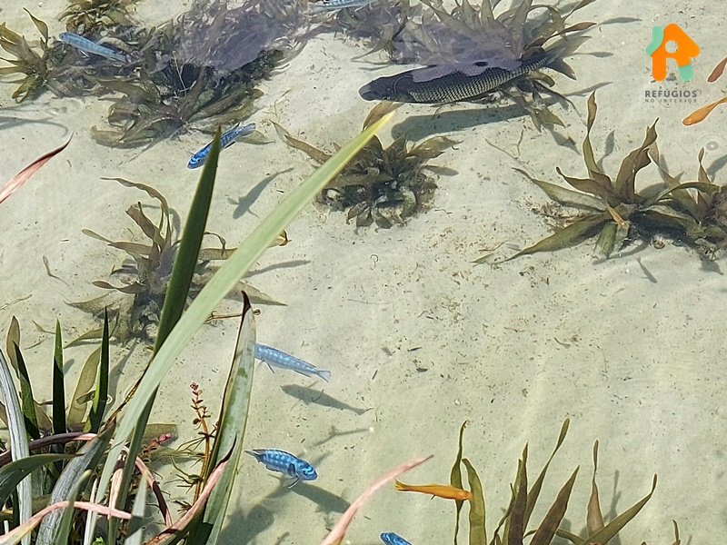 Parque Vinícola Góes em São Roque no Interior de SP