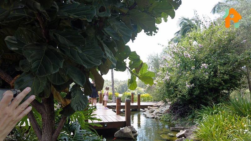 Parada Obrigatória em São Roque na Rota do Vinho - O Vila Don Patto