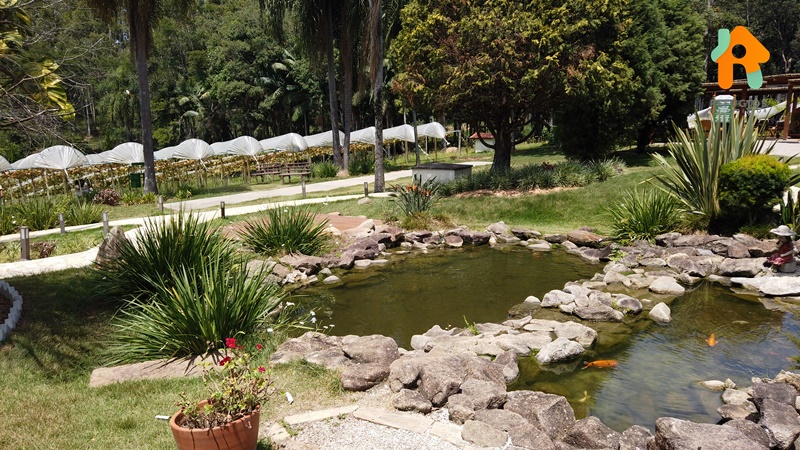 Parada Obrigatória em São Roque na Rota do Vinho - O Vila Don Patto