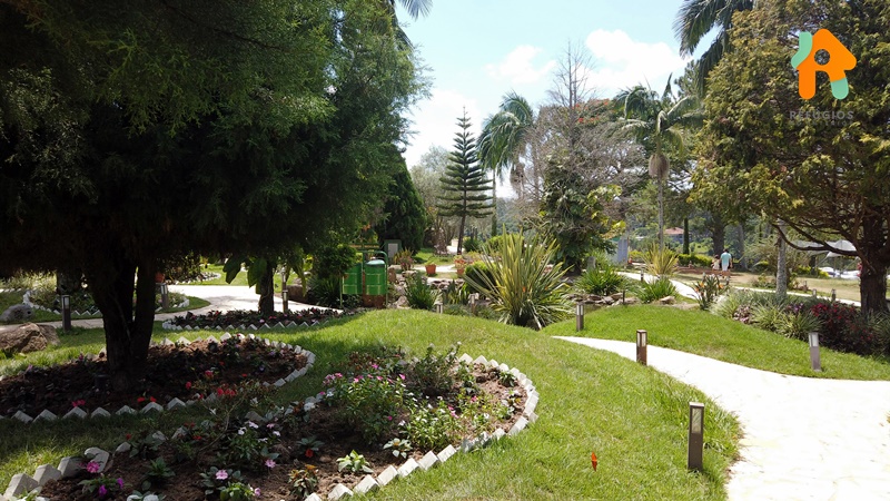 Parada Obrigatória em São Roque na Rota do Vinho - O Vila Don Patto