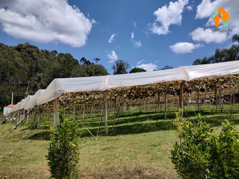 Parada Obrigatória em São Roque na Rota do Vinho - O Vila Don Patto