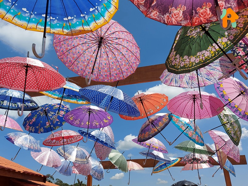 Parada Obrigatória em São Roque na Rota do Vinho - O Vila Don Patto