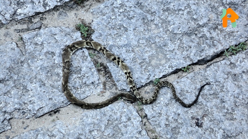 Cachoeira do Gato e Praia Castelhanos em Ilhabela