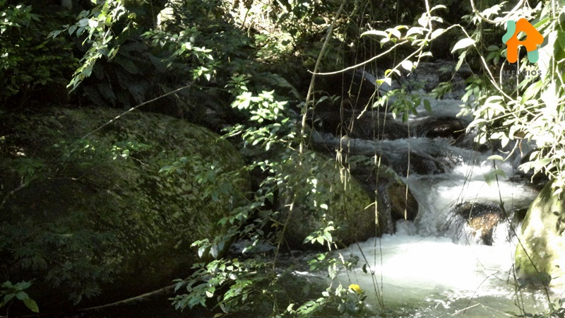 Cachoeira do Gato e Praia Castelhanos em Ilhabela