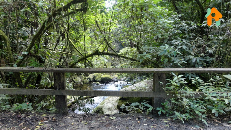 Cachoeira do Gato e Praia Castelhanos em Ilhabela