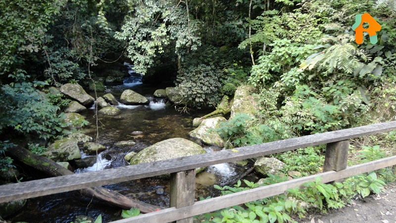 Cachoeira do Gato e Praia Castelhanos em Ilhabela