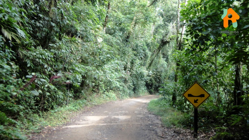 Cachoeira do Gato e Praia Castelhanos em Ilhabela