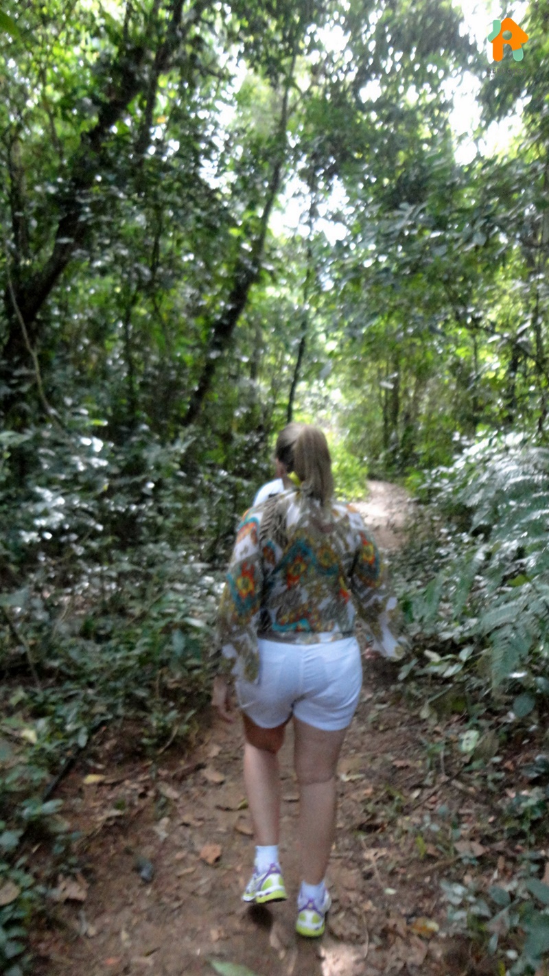 Cachoeira do Gato e Praia Castelhanos em Ilhabela
