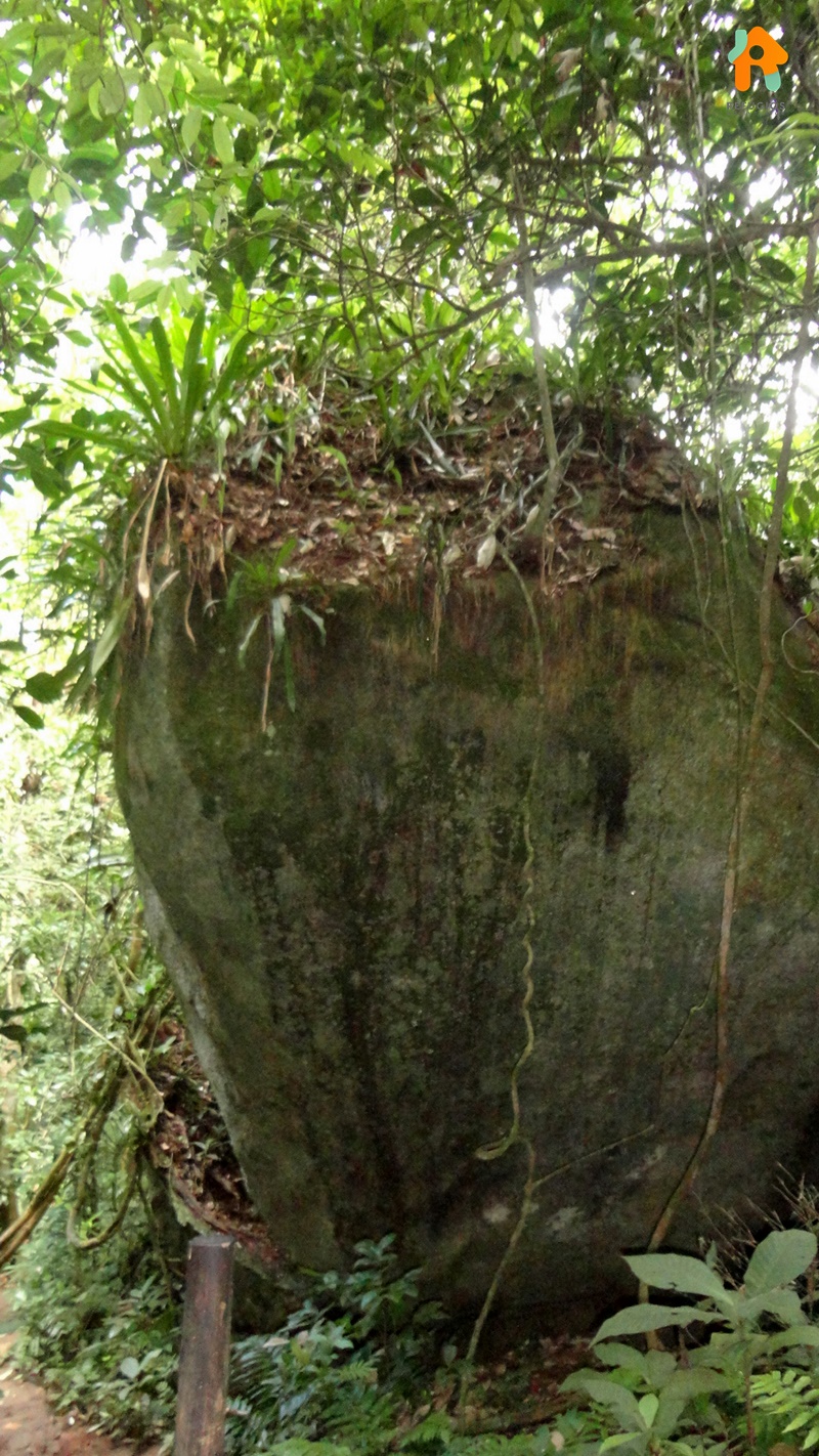 Cachoeira do Gato e Praia Castelhanos em Ilhabela
