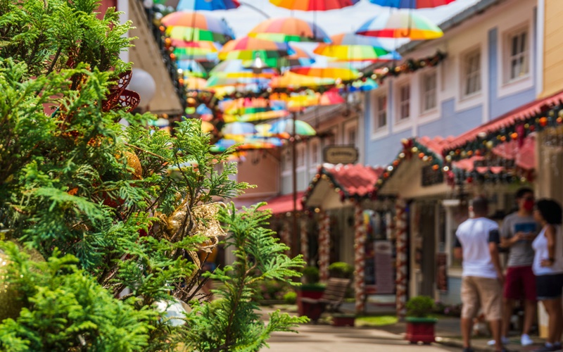 Descubra a cidade do Rio que é conhecida como Finlândia Brasileira!