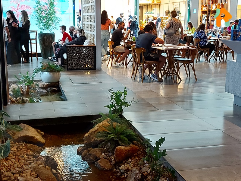 Restaurante Coco Bambu x Restaurante Jangada Qual o Melhor?