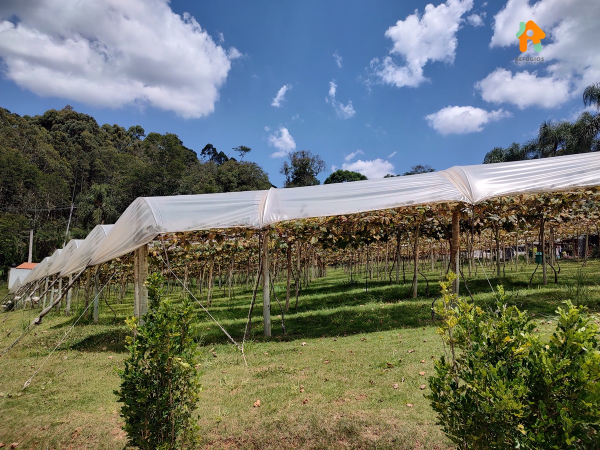 22 Cidades No Interior de SP Que Você Precisa Conhecer