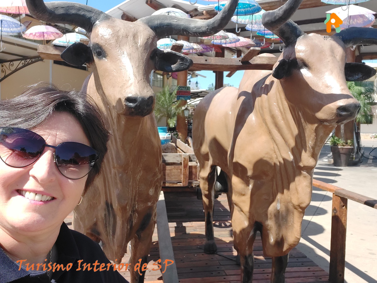 Que Tal Relaxar no Interior de SP?