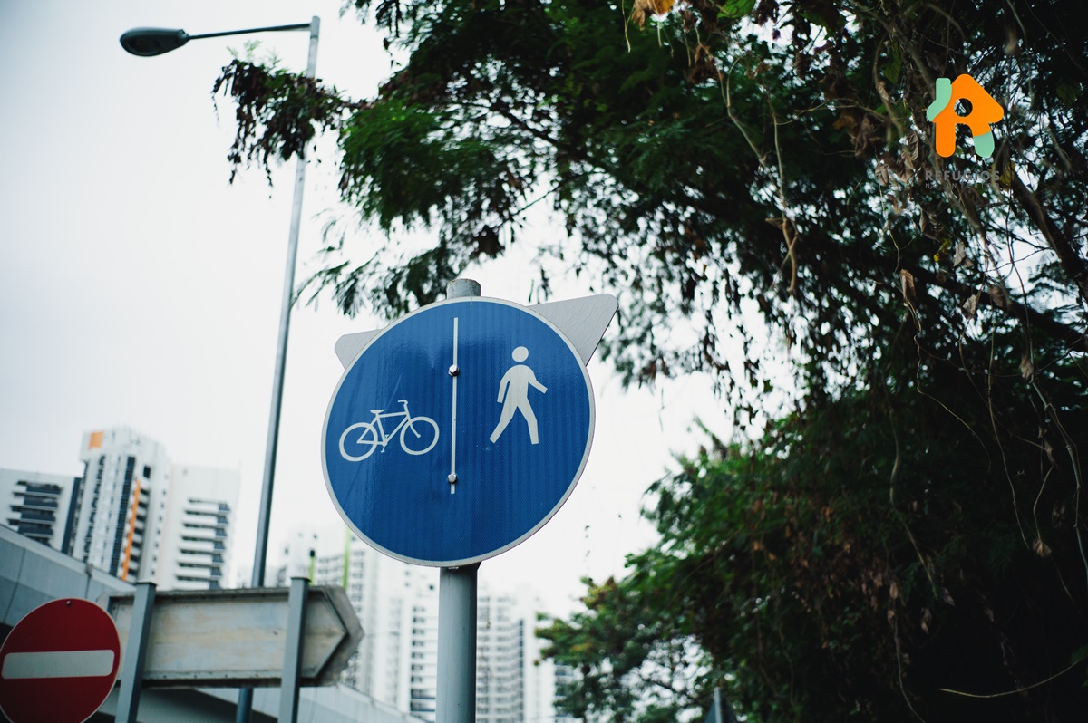 Lugares Para Desfrutar a Natureza a Pé, Bike, Patins e Skate em SP - Capital