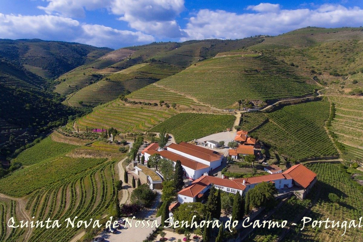 Você Já Pensou em se Hospedar em uma Vinícola?