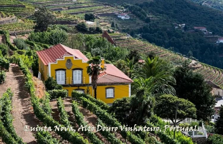 Você Já Pensou em se Hospedar em uma Vinícola?